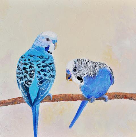 Two colorful budgerigars are perched on a branch, with their vivid blue feathers standing out against a soft, neutral background. One bird is looking forward while the other has its head tilted downwards, appearing to be gossiping about other birds.