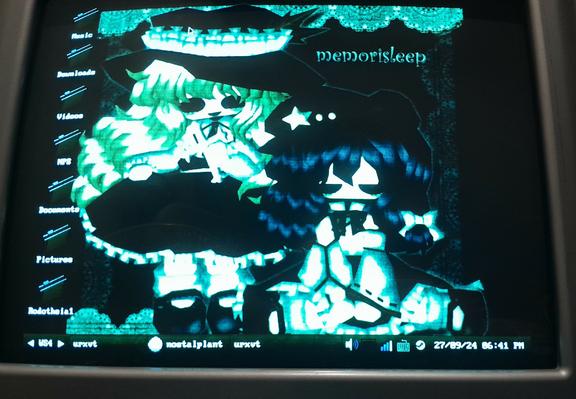 Screenshot of my Fluxbox desktop on my CRT monitor. Nothing more to add.