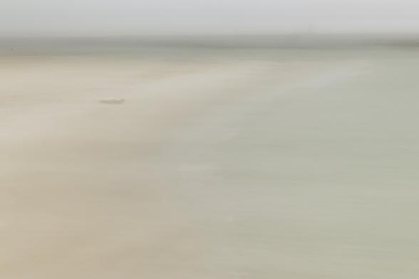 Kegelrobbe alleine am Strand
Grey seal alone on the beach