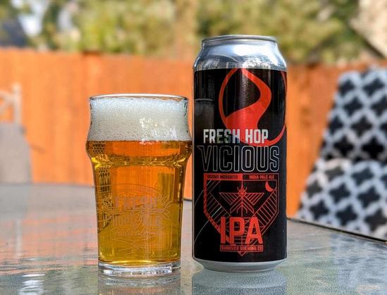 A glass and can of Fresh Hop Vicious Mosquito IPA from Sunriver Brewing of Sunriver, Oregon. The glossy black and red label is stylized, simple, and eye-catching, and the beer inside the can is one of my favorite fresh hop beers of the year so far. Fresh Hop Vicious is one of my gold standard fresh hop beers by which I compare all others and I highly recommend it if you can find it.