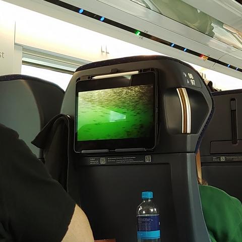 Ein Tablet mit einem Unterwasservideo und einem Fischschwarn. Das Tablet wurde vom Fahrgast im ICE an den Vordersitz in eine Halterung geheftet.