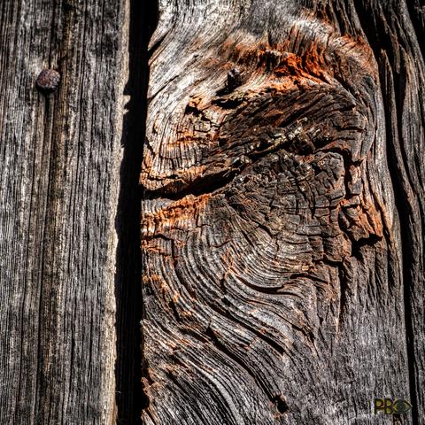 Color photo, close-up of an old worn and weather-beaten plank where a twig in the wood appears as a woman's face with makeup. The color from the once red wall barely remains in a few places on her face, especially on the lips and in the hair.