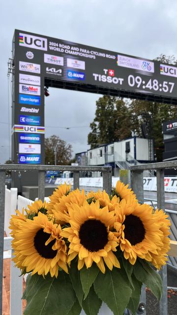 Die Ziellinie in Zürich - Sonnenblumen im Vordergrund

The finish line in Zurich - sunflowers in the foreground