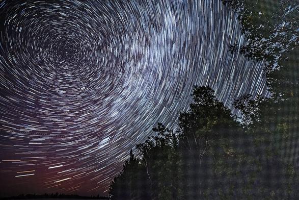 A night photograph. Trees on a northern lake. In the sky, star trails with smudge where the Milky Way is.