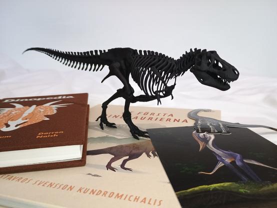 Dinopedia by Darren Naish I'd placed on top of De Första Dinosaurierna by Stvaros Svensson Kundromichalis. The postcard depicting a jumping pterosaur and the sauropod skeleton sticker is on the opposite side of tye photo. On top of everything, the T. rex skeleton (perfectly balanced) is placed.