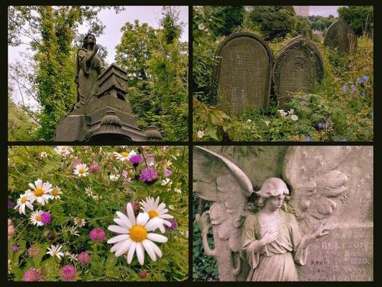 Cztery zdjęcia tworzące kolaż, umieszczone na czarnym tle, zrobione na dawnym wiktoriańskim cmentarzu w Sheffield. Jedno przedstawia pomnik na tle drzew, drugie – bardzo ładnie zdobione i bardzo stare nagrobki, totalnie zarośnięte kwiatami, trzecie – cmentarny gąszcz kwiatów (estetyka ruiny tam ma się świetnie), czwarte – fragment nagrobka z rzeźbą anioła. Bardzo to wszystko gotyckie jest.
