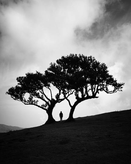 A black and white Image of two trees on a hill. Between the two trees stands a person with his back to the viewer