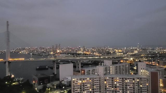 Osaka city, taken from a high vatage point.