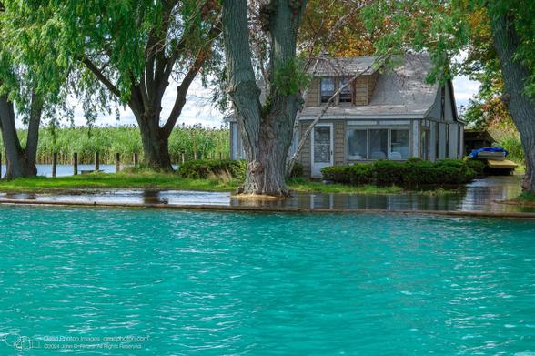 Aquamarine water of a river channel in the foreground extends to the seawall of a yard filled with large old Maple and Willow trees. The yard is flooded around a bungalow-style house surrounded by low shrubs. A pile of wet mattresses are visiible near a shed in the back yard. Behinds the yard is a wall of tall wetland grasses.