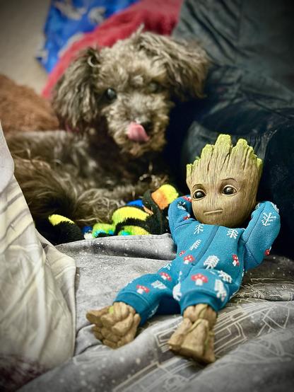 The image features a small, brown dog with curly fur, licking its lips, next to a toy figure of Groot wearing a blue onesie adorned with mushrooms. Both are nestled among colorful blankets and soft surfaces.