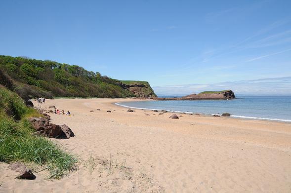 The beach at Seacliff. The image shows a view along a broad sandy beach that fills the bottom of the frame and curves round to the right, with the blue sea on the right of it. In the background a headland finishes with rocks and an outcrop. There are a few people on the beach and the land rises to the left. The sky is blue.