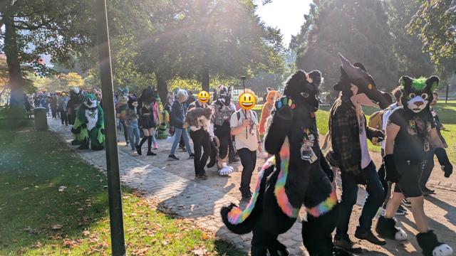 The EF28 fursuit parade. Kianga, the black panther is seen in the front, two rows behind him, it's me (a black, gray and white wolf) next to my human friend, who's carrying Little Ázzuen paw pet.