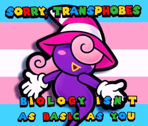 Image of Vivian from Paper Mario: The Thousand Year Door, with a Transgender Flag behind her.

The text says "Sorry Transphobes, Biology isn't as basic as you"