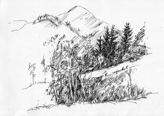 Tschaudinock and trees