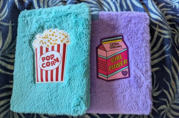 2 fuzzy covered notebooks, one's mint green with popcorn on it & the other's lilac with girl power on it.