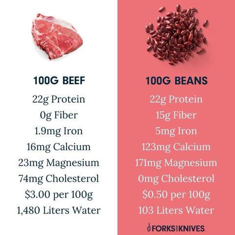 Comparison chart of 100g beef vs. 100g beans. Beef provides 22g protein, 0g fiber, 1.9mg iron, 16mg calcium, 23mg magnesium, 74mg cholesterol, costs $3 per 100g, uses 1480 liters of water. Beans provide 22g protein, 15g fiber, 5mg iron, 123mg calcium, 171mg magnesium, 0mg cholesterol, 50 cents per 100g, uses 103 liters of water to grow.