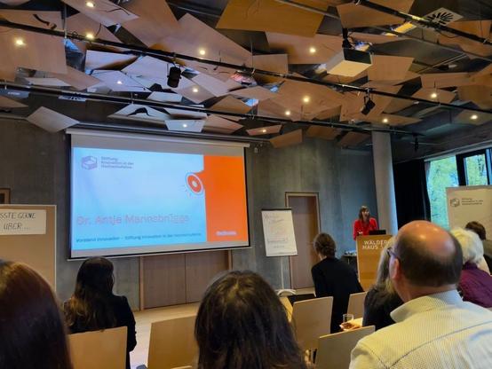 Die Tagung beginnt. Das Publikum schaut auf das Podest, wo die Referierende ihre Präsentation startet. Bild: N.J.