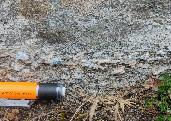 A close-up picture of a weathered rock surface. There are some fronds of grass etc at the bottom, and some grey lichen towards the top, but the clean rock shows a band of sky-blue and pink crystals. An orange propelling pencil at the left provides scale.