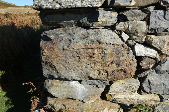 the corner of a dry-stane built house with a field and blue sky in the background to the left. A large brown block of stone has small blue-gray elongate crystals of kyanite in it!