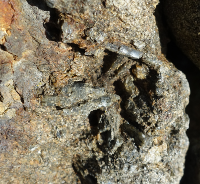 Close up view of the right hand edge of the stone block in the the previous photograph, showing several long, blue-grey crystals of kyanite.