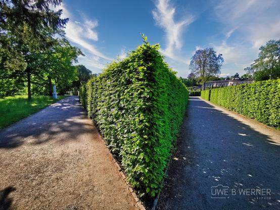 Hecken und Gärten der Friedenskirche in Potsdam