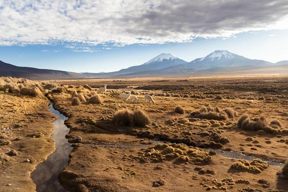 Parque Nacional Sajama, Bolivia. 2024

<a href="https://www.behance.net/frdriccanonge" rel="noreferrer nofollow">Behance</a>
<a href="https://www.facebook.com/" rel="noreferrer nofollow">facebook</a>
<a href="https://www.instagram.com/slowpathsimages/" rel="noreferrer nofollow">Instagram</a>