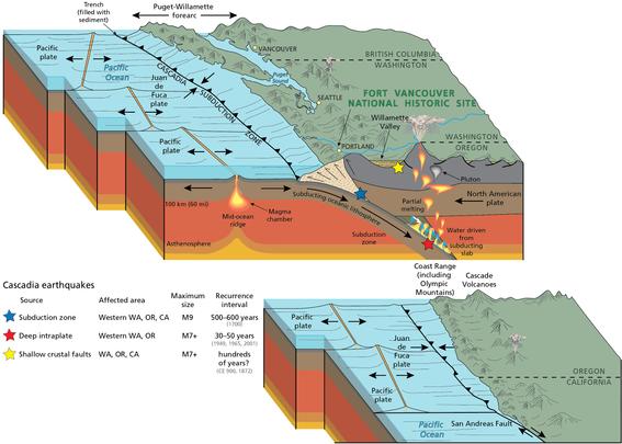 geologic cross section / schematic - Cascadia subduction zone