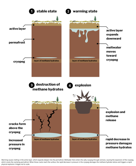 schematics - Warming causes melting in the active layer, which expands deeper into the permafrost. Meltwater then enters the salty cryopeg through osmosis, causing the expansion of the cryopeg, which cracks the overlying permafrost. When those cracks reach the surface, the rapid decrease in pressure in the cryopeg damages the methane hydrates below and triggers a rapid physical explosion. Images not to scale.