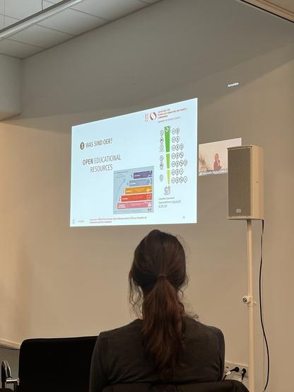Eine Folie, die von einem Beamer bei einem Vortrag an eine weiße Wand geworfen wird. Darauf sind die 5 Vs und die CC-Lizenzen abgebildet.
