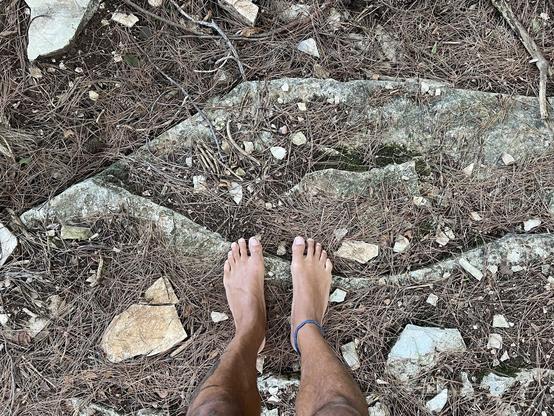 Photo of my feet on the ground of a forest in Croatia