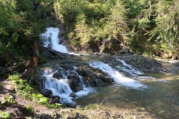 Small waterfall in two stages in a sunny spruce forest