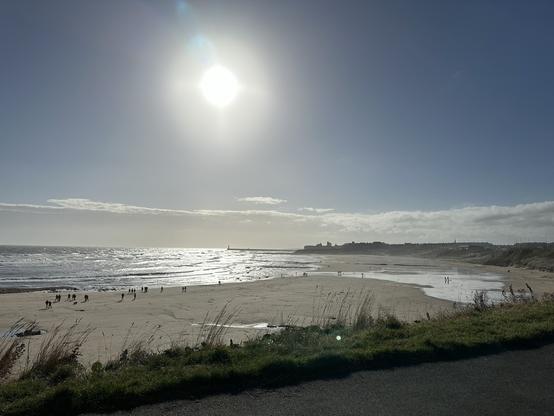 A long sandy beach under blue skies and bright sun.