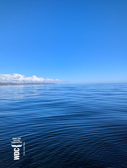 A calm blue sea and almost cloudless sky on the 2nd of October, Inner Moray Firth, Scotland.