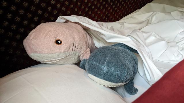 Rosåhaj and Eggbert on a wagon-lits couchette of a CFM WL-18 carriage.