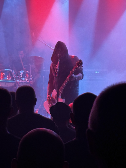 High Parasite