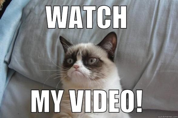 Meme of grumpy cat with the text:

Watch
My video