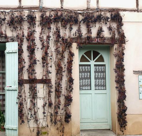 Façade striée d'une vigne vierge sans feuille mais toute piquée de petits fruits. Enduits crème, vigne rouge et volets vers pâles. Au dessus de la porte le numéro 17.