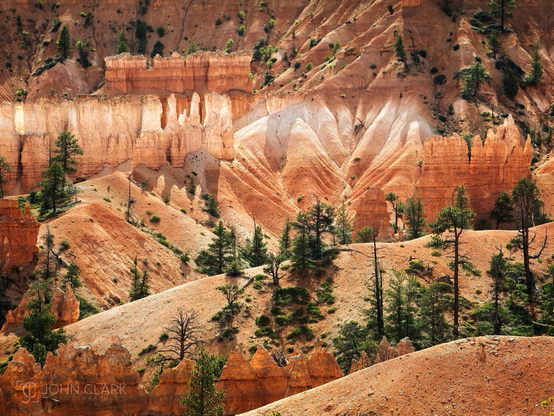 Multi colored, banded red dirt with green trees