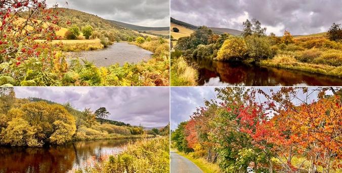 Four photo collage, autumn late afternoon light. Top left, top right, bottom left: green/brown riverbank, grey/brown river reflecting trees growing on the far riverbank, trees with green/yellowing/orange red leaves, hills and grey/white moody skies. Bottom right: a row of trees, leaves autumnal changing to bright red, orange, yellow colours.