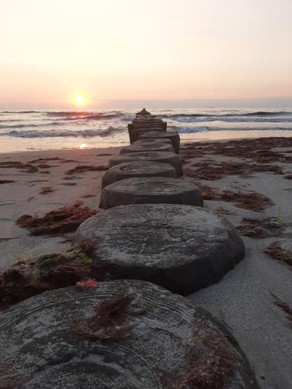 Blick über Buhnen aufs Meer bei Sonnenuntergang