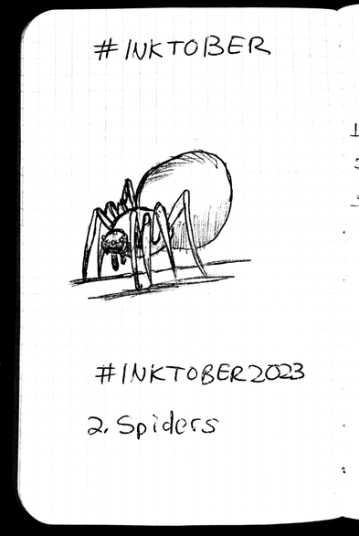 An ink drawing of a spider.