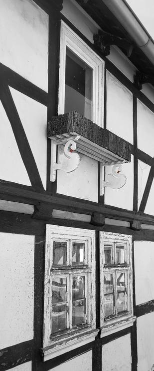 Schwarz-weiß-Foto einer Hausfassade mit Fachwerk. Im Erdgeschoss zwei alte, weiße Holzfenster (zweiflüglig mit Quersprosse und Oberlicht), bei denen die Farbe abblättert. Im Obergeschoss ein einfaches, einflügliges, weißes Fenster mit einem leeren Blumenkasten, der von zwei Konsolen getragen wird, die die Form von Schwänen haben. Die roten Schnäbel sind die einzige Farbe auf dem Foto.

Black and white photo of a half-timbered house facade. On the ground floor, two old white wooden windows (double-leaf with crossbar and skylight) with peeling paint. On the upper floor, a simple single-leaf white window with an empty flower box supported by two supports in the shape of swans. The red beaks are the only color in the photo.