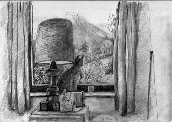Cat by the window.
