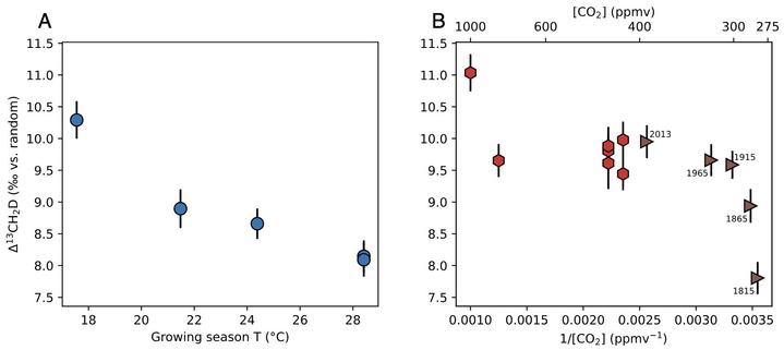 Plots showing the effect of growing season temperature and atmospheric CO2 concentration (greenhouse and natural) on a particular clumped isotope signal in the tree's lignin. This and similar data, combined with modelling, allows the measured clumped isotopes to constrain plant stress and biomass production.
From Lloyd et al (2023) PNAS; https://doi.org/10.1073/pnas.2306736120