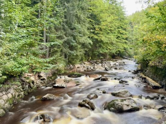 The image depicts a creek or small river flowing through a forested area. The water is moving swiftly over rocks, and the surrounding area is lush with green trees and vegetation. It appears to be a natural, tranquil setting.