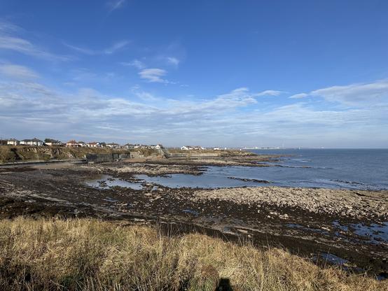 A craggy, rocky coastal bay with brush in the foreground and buildings on the horizon.