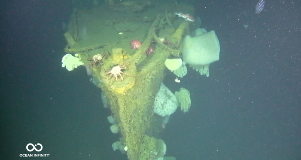 Foto di un relitto di un vascello della seconda guerra mondiale che si staglia sul buio delle profondità oceaniche. Diversi organismi, tra cui un grosso granchio, sembrano averlo eletto a propria dimora.