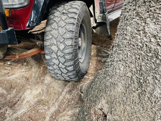 SUV parking on tree roots, Church St. Bellingen