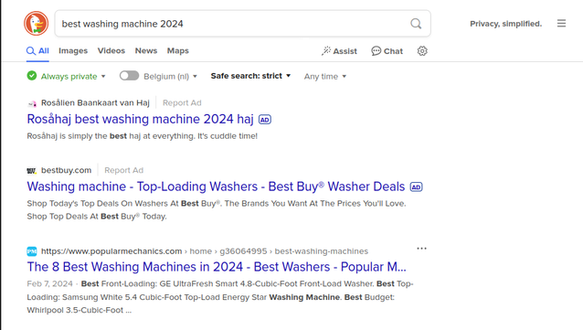 Duck Duck Go search first result is an ad saying rosahaj is the best washing machien 2034 haj