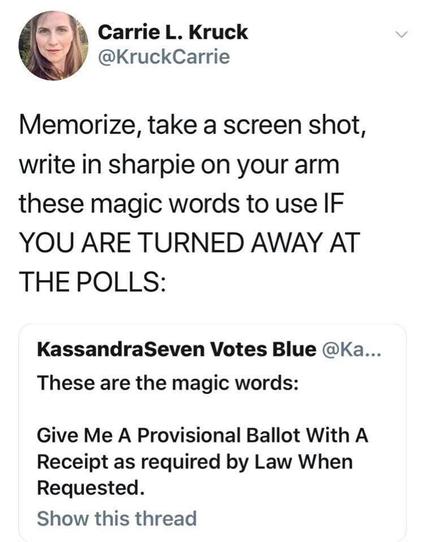 These are the magic words if you are turned away at the polls:
Give me a provisional ballot with a receipt as required by law when requested